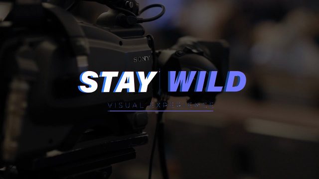 Analog Glitch Titles and Text Animation for Dubstep 4K UHD Premiere Pro MOGRT