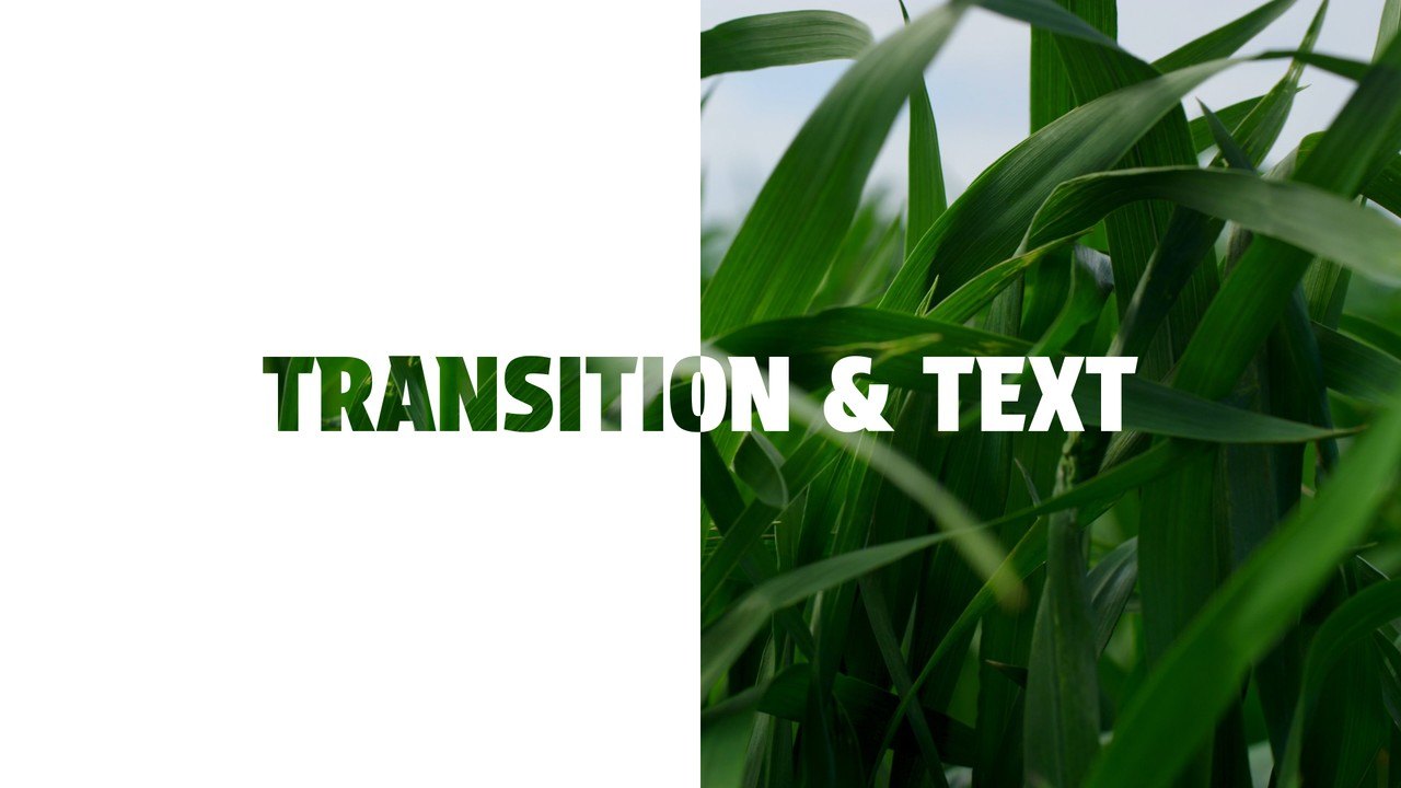 Footage Lettering Text Transitions featuring Panel Wipe Premiere Pro MOGRT