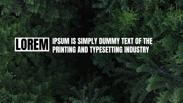 Outline Box Word Expanding into Inline Paragraph Corporate Text After Effects Template