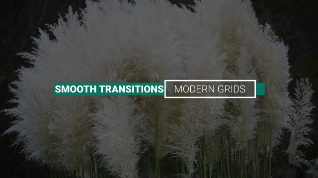 Smooth Transitions Label Title Animation Free After Effects Template