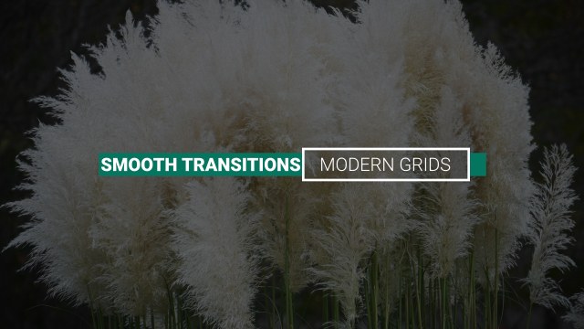 Smooth Transitions Label Title Animation Free After Effects Template