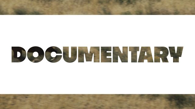 Animated Bold Documentary Transition featuring Giant Initial Letters and Bold Word Template for Adobe Premiere Pro
