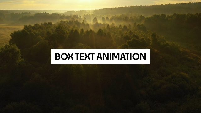 Compact White Label Caption Titles for Real Estate Videos After Effects Template
