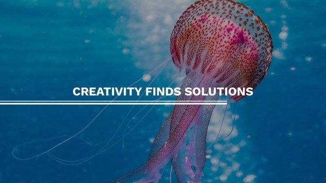 Creativity Text Animations Free After Effects Template with Modern Style