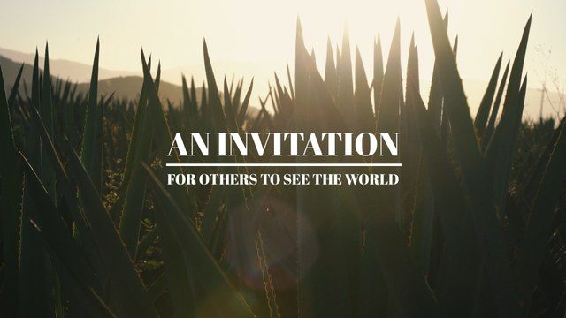 Download Free Elegant Serif Opening Titles Template for After Effects