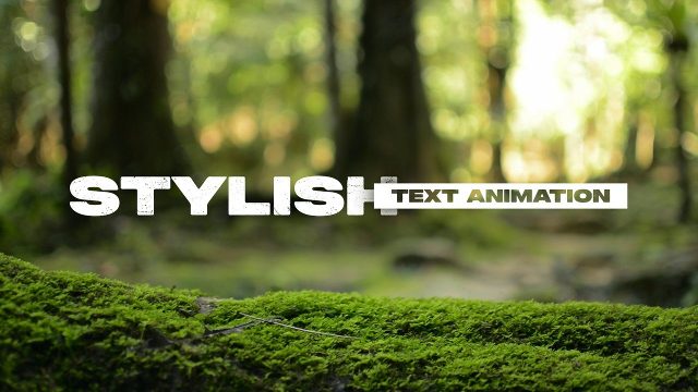 Mini Tag Title Animation as Wide Word Slides Apart After Effects Template