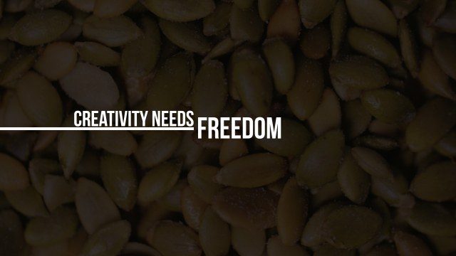 Elegant Minimal Title Animation Free Premiere Pro Template for Smooth Text Effects