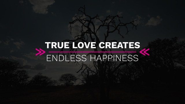 Fast and Smooth Text Animation Free Premiere Pro Template