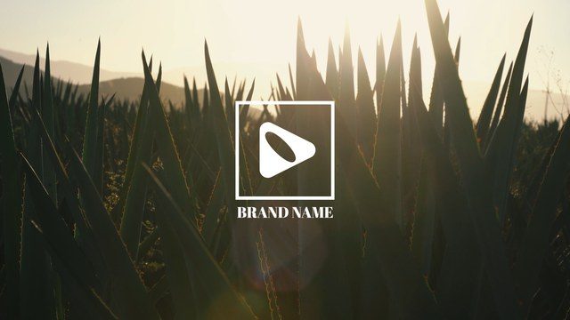 Seamless Modern Logo Animation Free Template for Marketing Videos