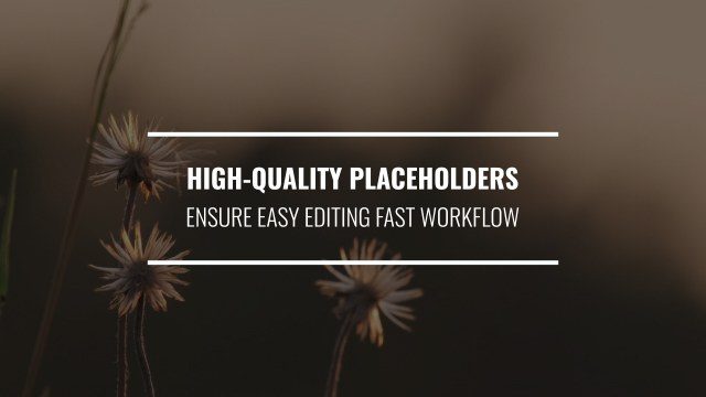 Free Elegant Premiere Pro Text Effects and Title Animation Template