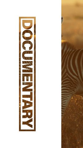 Vertical Documentary Opener featuring Hollow Frame Heading Premiere Pro MOGRT
