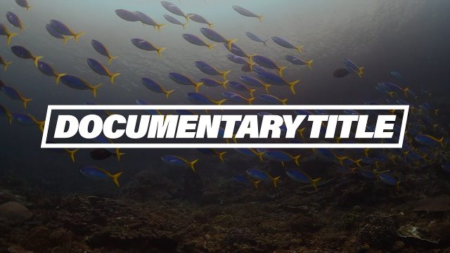 Stylish Documentary Animated Text After Effects Template