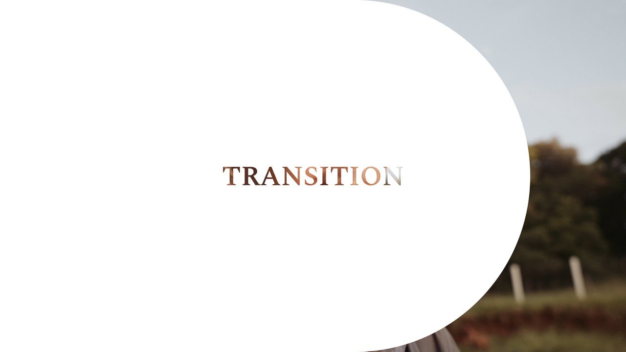 Elegant Serif Word Title Transition in a Pill Window Premiere Pro MOGRT