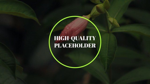 Minimal Motion Typography Free Template for Elegant Video Design