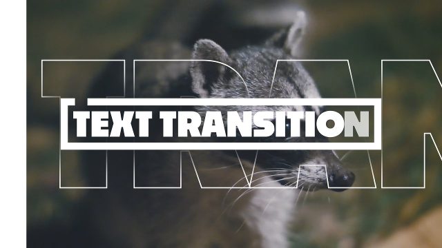 Text Animation Transitions with Outline Giant Cut-Out Letters for Promo Videos After Effects Templates