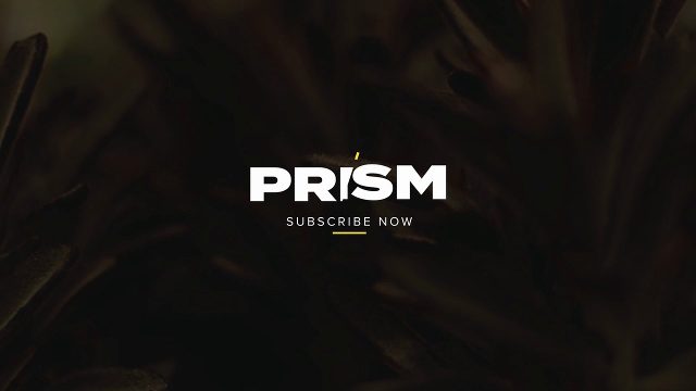 Ultra HD Noisy Glitch Titles and Typography Pack MOGRT for Instagram