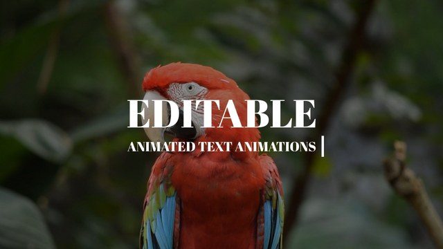 Typing Cursor Serif Title Free Template for After Effects